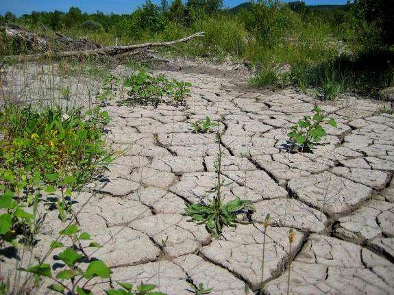 Verdroogde rivierbedding